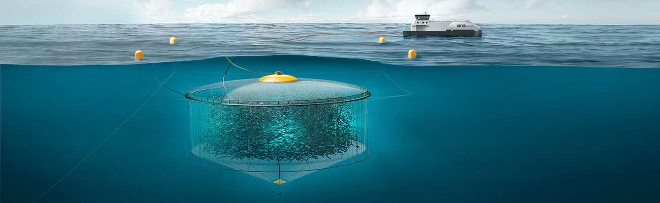 Blog - 003 Mar 2026 - Aquaculture Stage Story