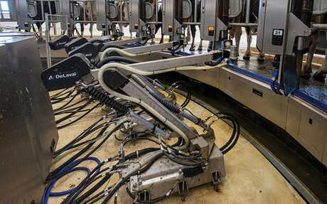DeLaval AMR in action at Bannister Downs Dairy Farm - Kaeser Compressors case study