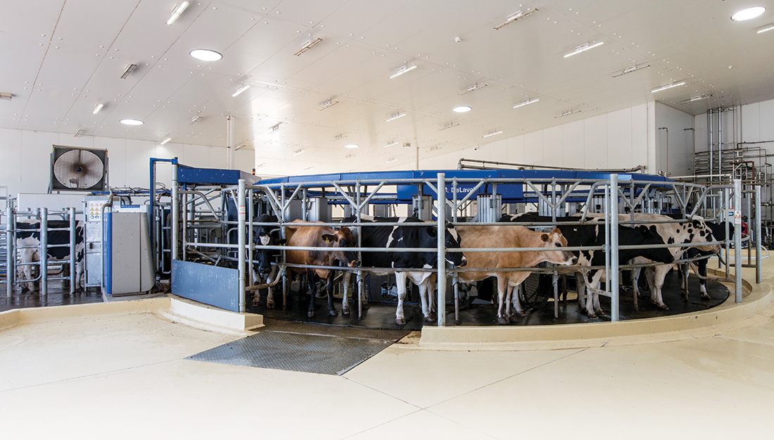 DeLaval Bannister Downs Dairy Farm reference project - KAESER ...