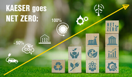 Blog Feb 25 - Sustainability - Image 3