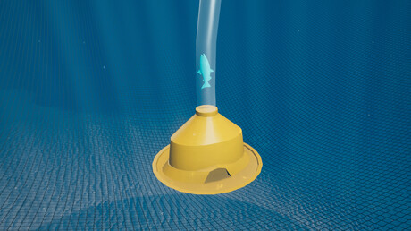 KAESER Know How blog post: Utilising compressed air in aquaculture - The benefits of air-lift mort and sludge removal systems to aquaculturists