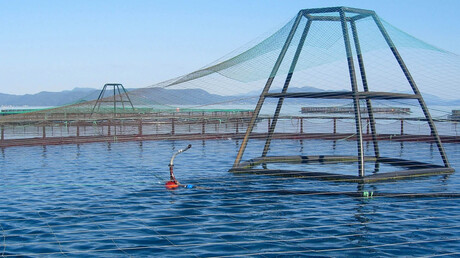 KAESER Know How blog post: The importance of reliable and efficient blowers to automated fish feeding systems for aquaculture. Image courtesy of AKVA Group.