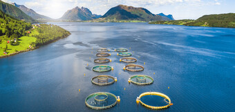 Air compressor in use in aquaculture – KAESER KOMPRESSOREN’s energy-efficient solution for sustainable compressed air requirements.